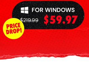 Microsoft Office Professional 2021 for Windows: Lifetime License