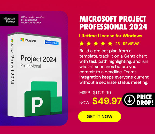 Microsoft Project Professional 2024: Lifetime License for Windows