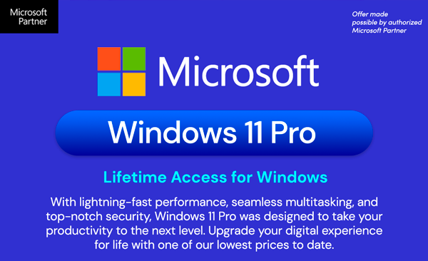 Microsoft Windows 11 Pro