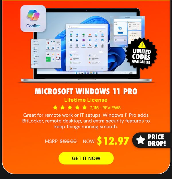 Microsoft Windows 11 Pro