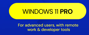 Microsoft Windows 11 Pro