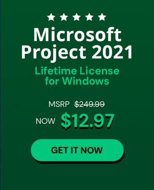 Microsoft Project 2021 Professional: Lifetime License for Windows