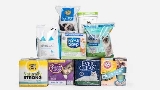 We tested cat litter for you (you're welcome)