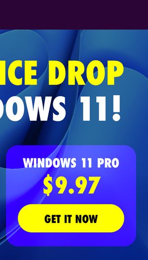 Microsoft Windows 11 Pro