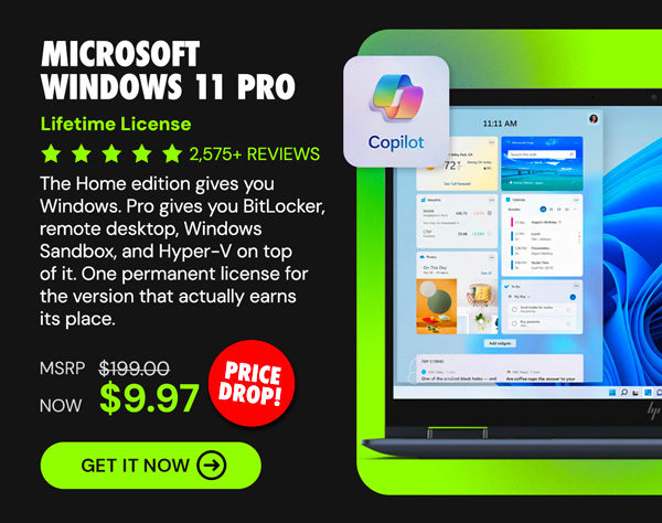 Microsoft Windows 11 Pro