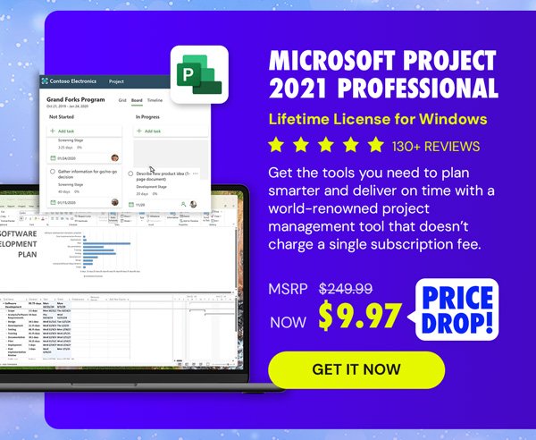 Microsoft Project 2021 Professional: Lifetime License for Windows