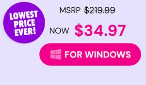 Microsoft Office Professional Plus 2019 for Windows | Lifetime License