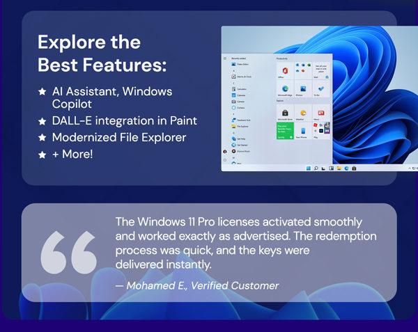 Microsoft Windows 11 Pro