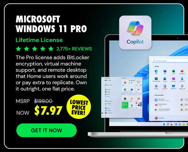 Microsoft Windows 11 Pro