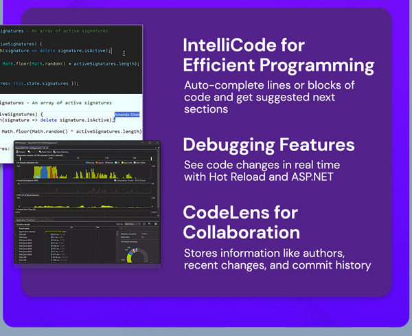 Microsoft Visual Studio Professional 2026