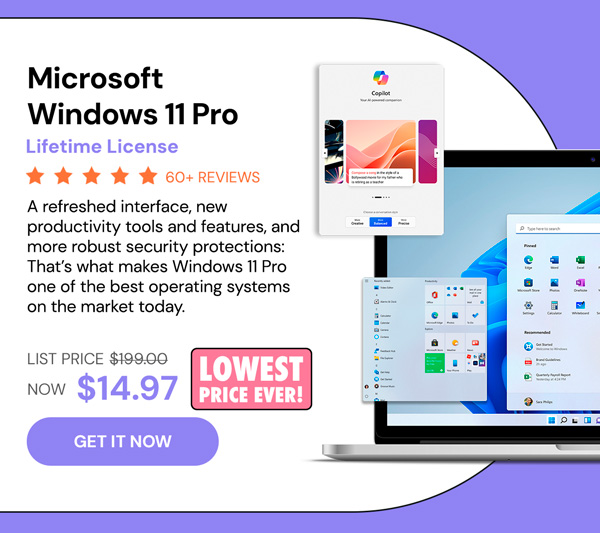 Microsoft Windows 11 Pro