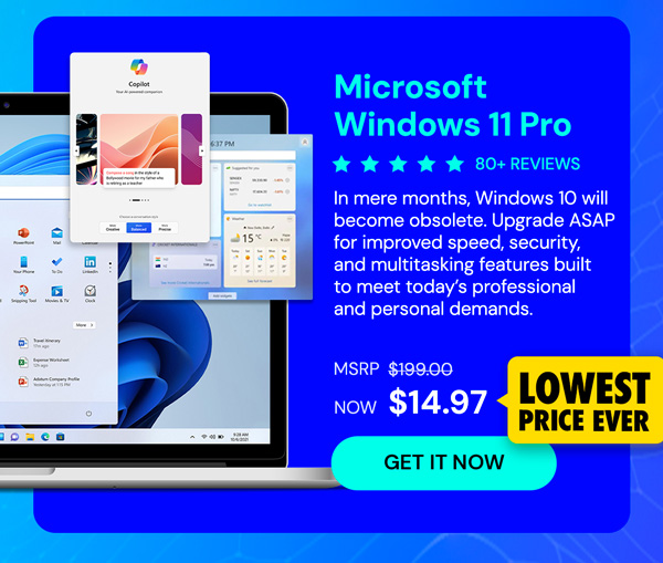 Microsoft Windows 11 Pro