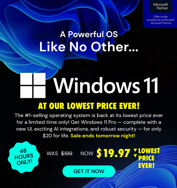 Microsoft Windows 11 Pro