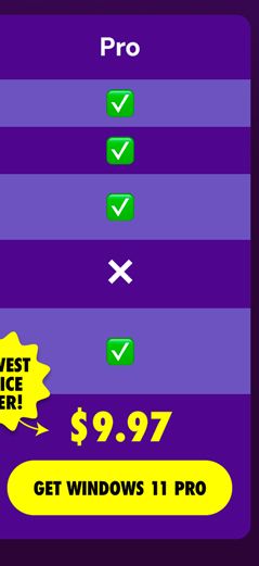 Microsoft Windows 11 Pro