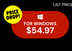 Microsoft Office Professional 2021 for Windows: Lifetime License