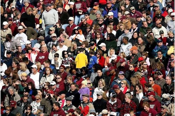 How humans took over the planet: The role of cultural evolution | Phys.org