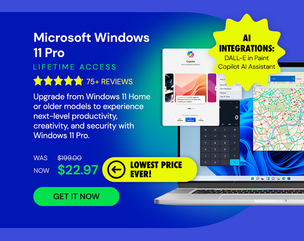 Microsoft Windows 11 Pro