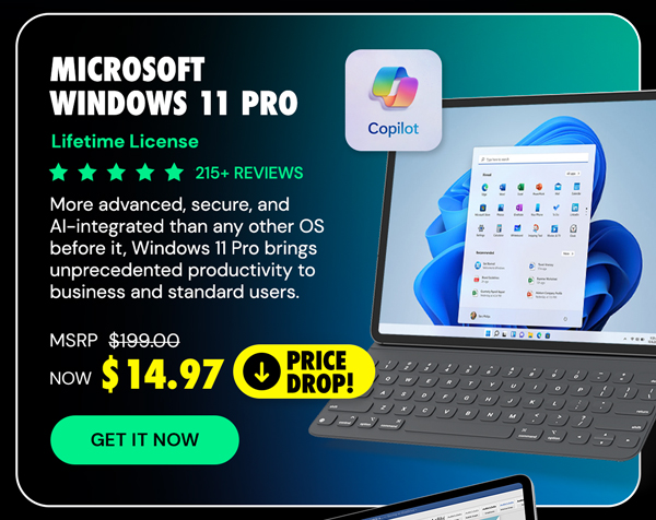 Microsoft Windows 11 Pro