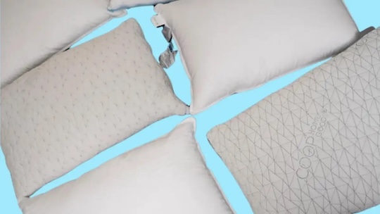 Your pillow might have dead bugs in it