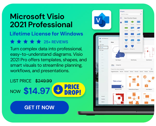 Microsoft Visio 2021 Professional for Windows