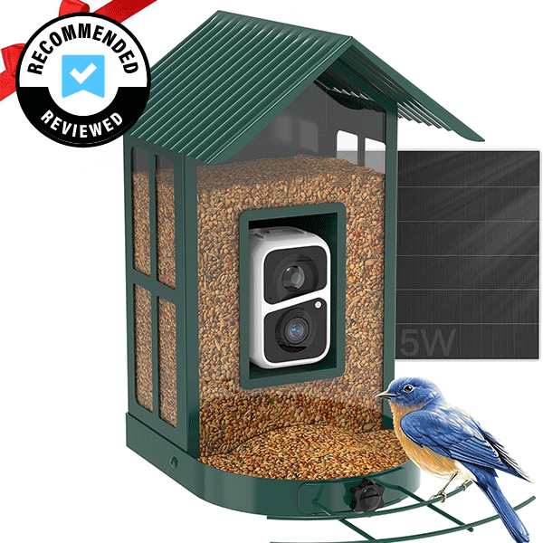 Solar Bird Feeder With Camera & AI Identification