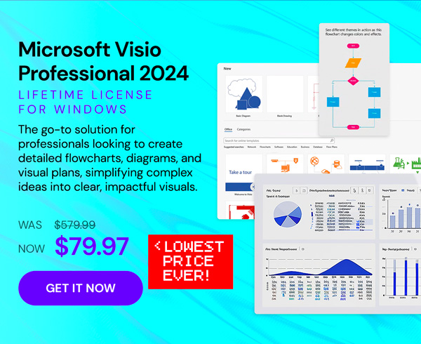 Microsoft Visio Professional 2024: Lifetime License for Windows