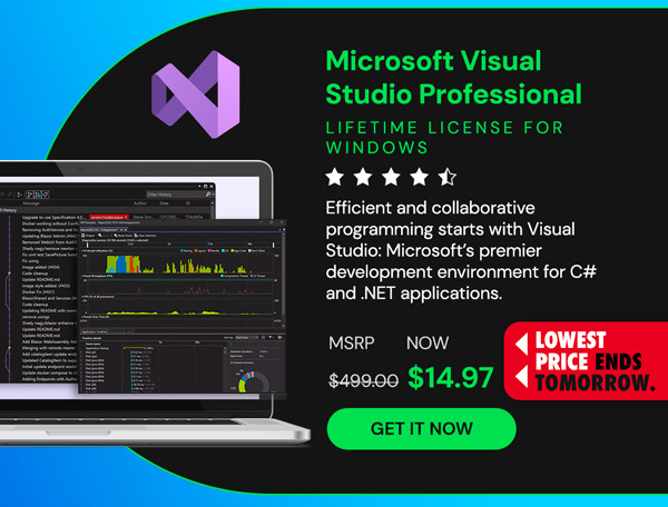 Microsoft Visual Studio Professional 2022 for Windows