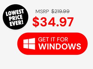 Microsoft Office Professional Plus 2019 for Windows | Lifetime License