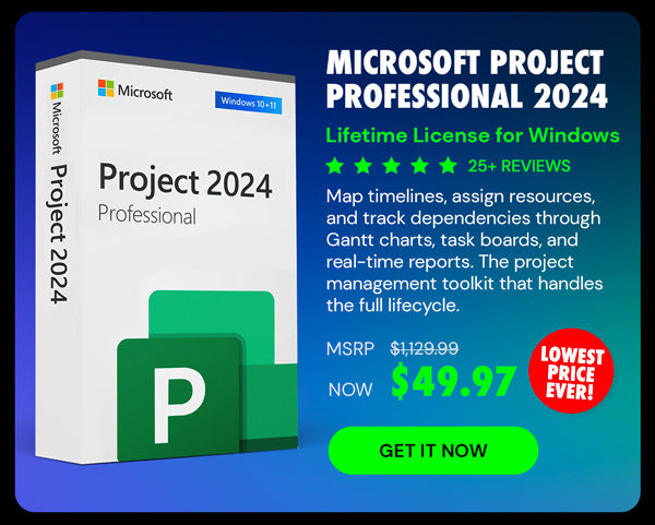 Microsoft Project Professional 2024: Lifetime License for Windows