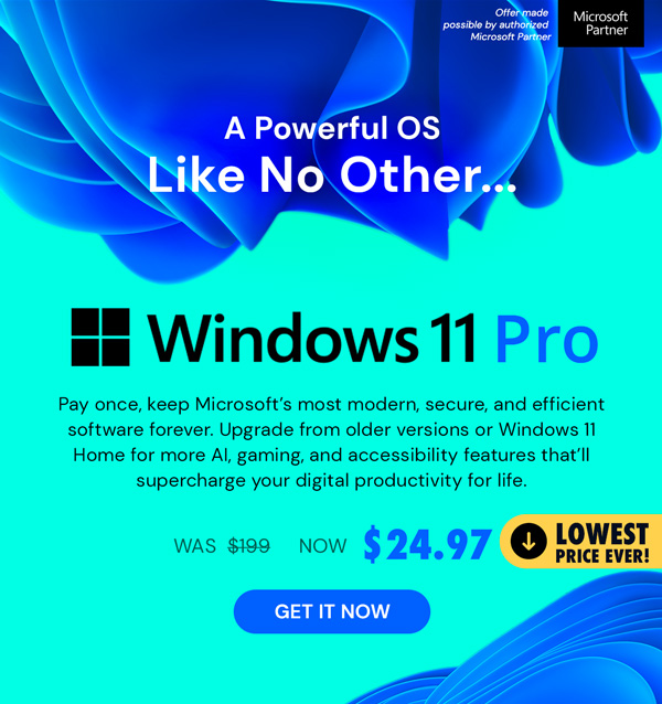 Microsoft Windows 11 Pro (Activation for Up to 3 PCs)