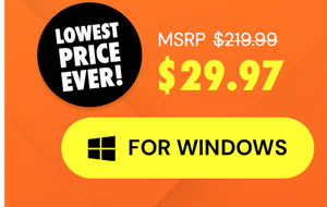 Microsoft Office Professional 2021 for Windows: Lifetime License