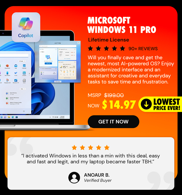 Microsoft Windows 11 Pro