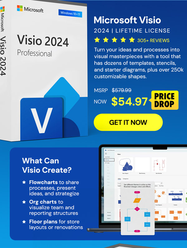 Microsoft Visio Professional 2024: Lifetime License for Windows