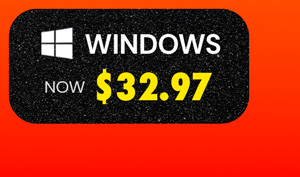 Microsoft Office Professional Plus 2019 for Windows | Lifetime License