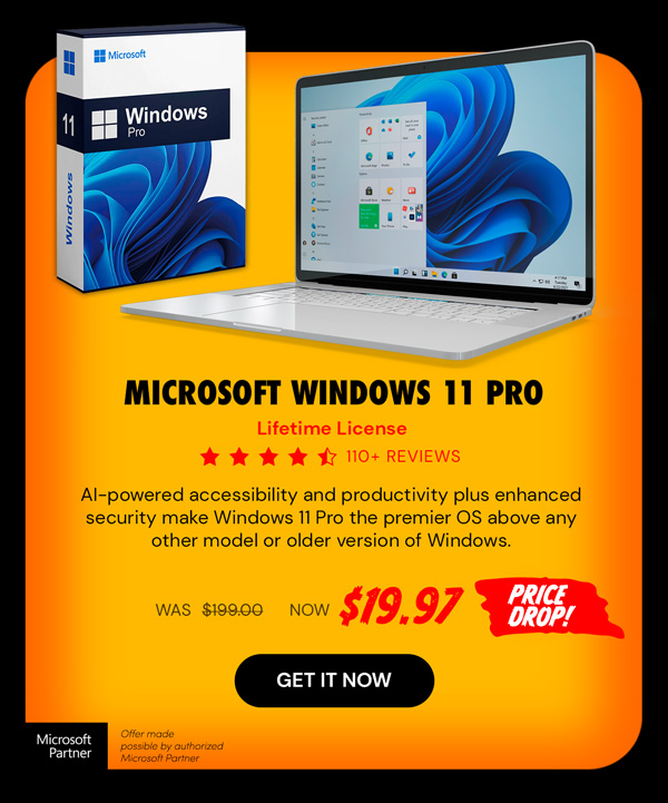 Microsoft Windows 11 Pro