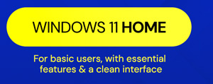 Microsoft Windows 11 Home
