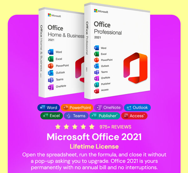 Microsoft Office Professional 2021 for Windows: Lifetime License