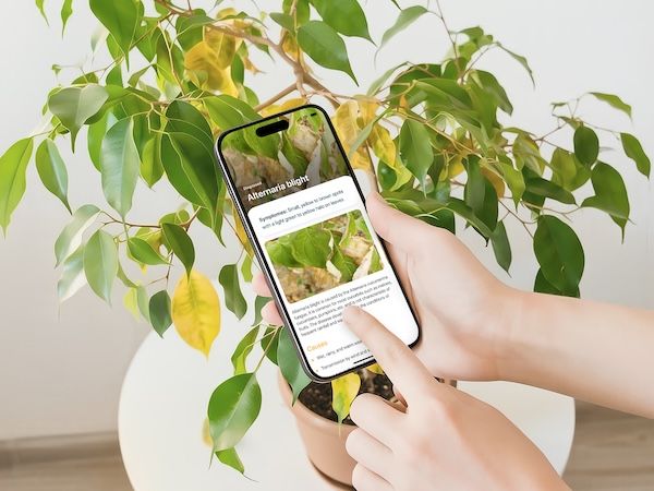 StackSocial - Your plant deserves better (and now it might get it) | [Partner] 