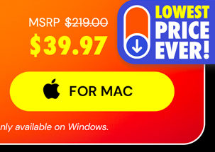 Microsoft Office Home & Business for Mac 2021: Lifetime License