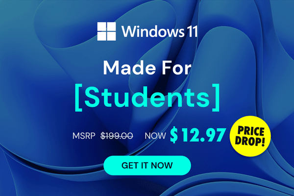 Microsoft Windows 11 Pro | Lifetime License