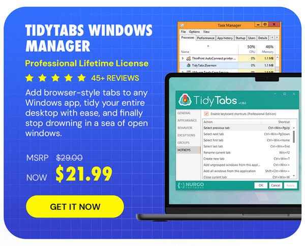 TidyTabs Windows Manager: Professional Lifetime License