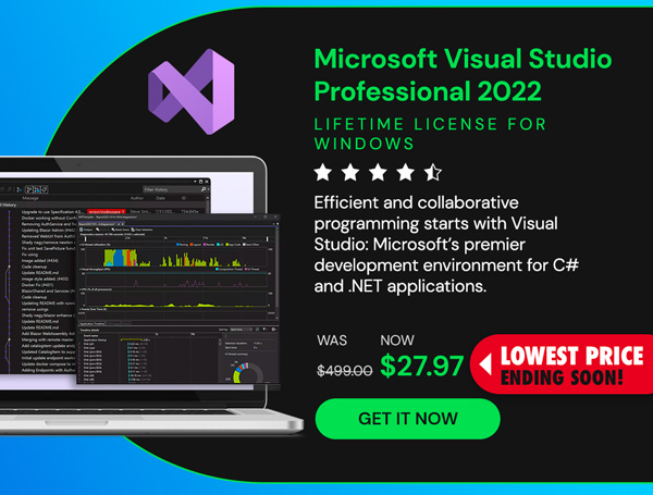 Microsoft Visual Studio Professional 2022 for Windows