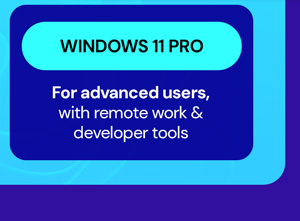 Microsoft Windows 11 Pro Lifetime License