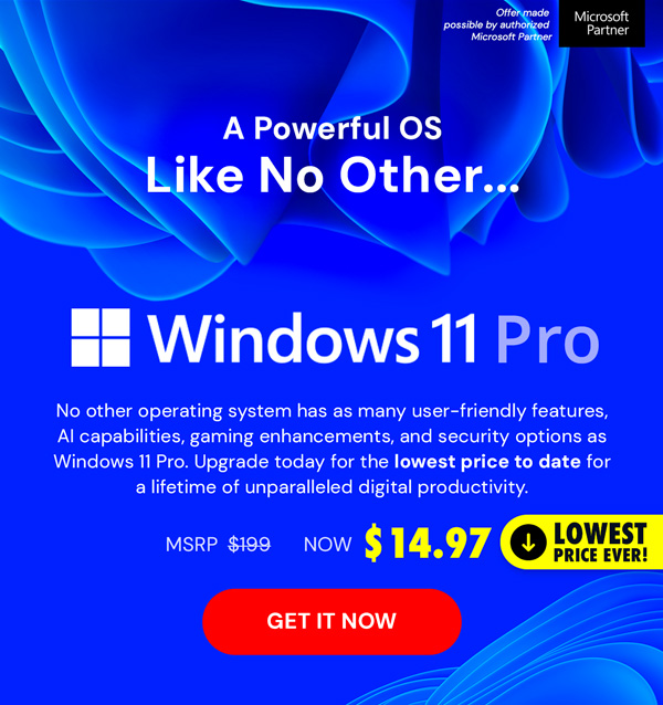 Microsoft Windows 11 Pro