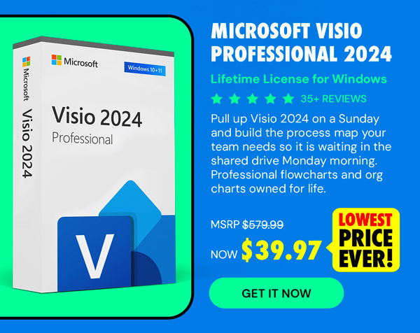 Microsoft Visio Professional 2024: Lifetime License for Windows
