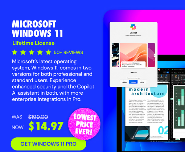 Microsoft Windows 11 Home or Pro