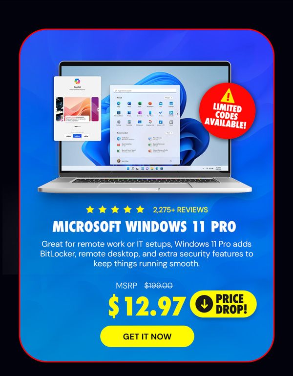 Microsoft Windows 11 Pro