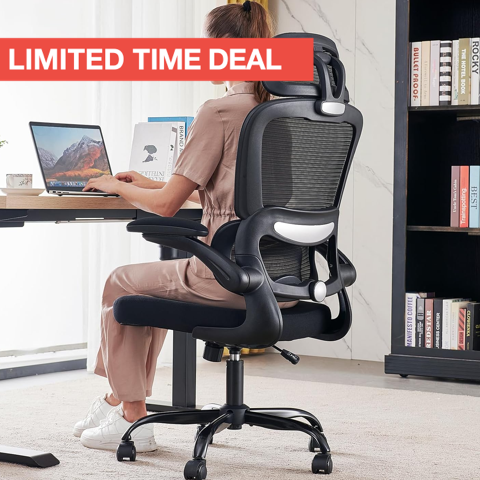 Ergonomic Mesh Desk Chair