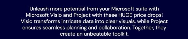 Microsoft Visio 2021 Professional: Lifetime License for Windows