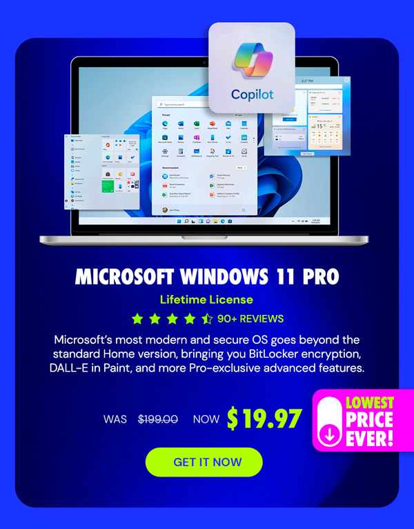 Microsoft Windows 11 Pro